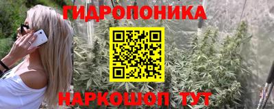 ешки Кинель